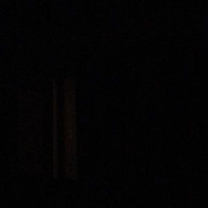 Meet your Posher, Audrey